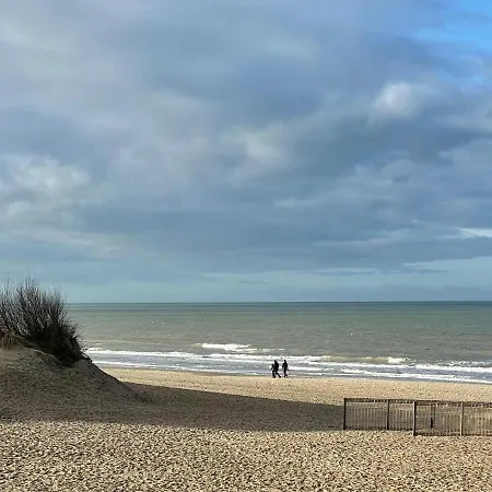 Seaview Terlinck Ii - Luxe Hoekappartement Met Zeezicht 6 Personen * デ パンネ