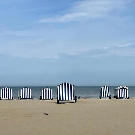 Seaview Terlinck Ii - Luxe Hoekappartement Met Zeezicht 6 Personen دي بان